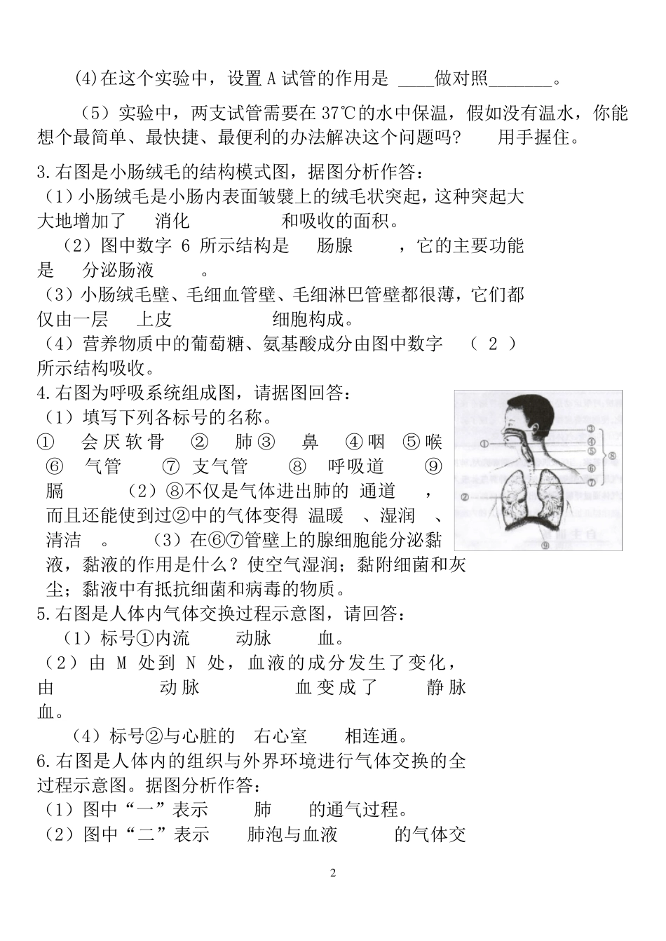 初中生物七年级下册识图专题复习答案_第2页