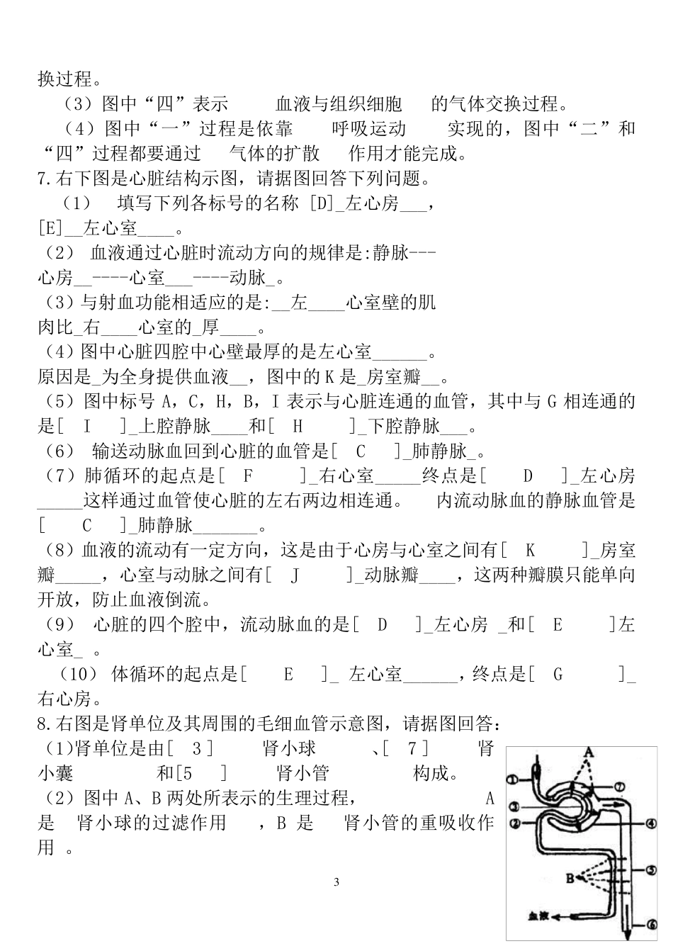 初中生物七年级下册识图专题复习答案_第3页