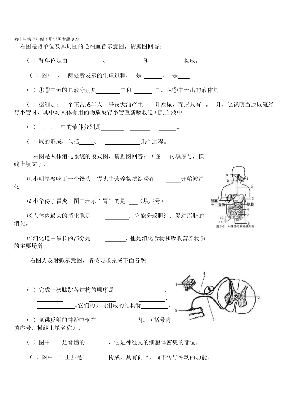 初中生物七年级下册识图题汇总_第1页