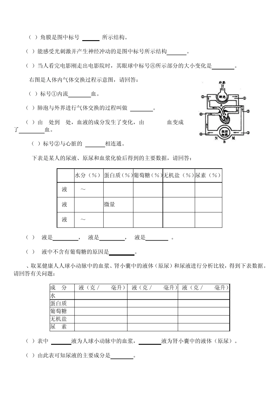 初中生物七年级下册识图题汇总_第3页