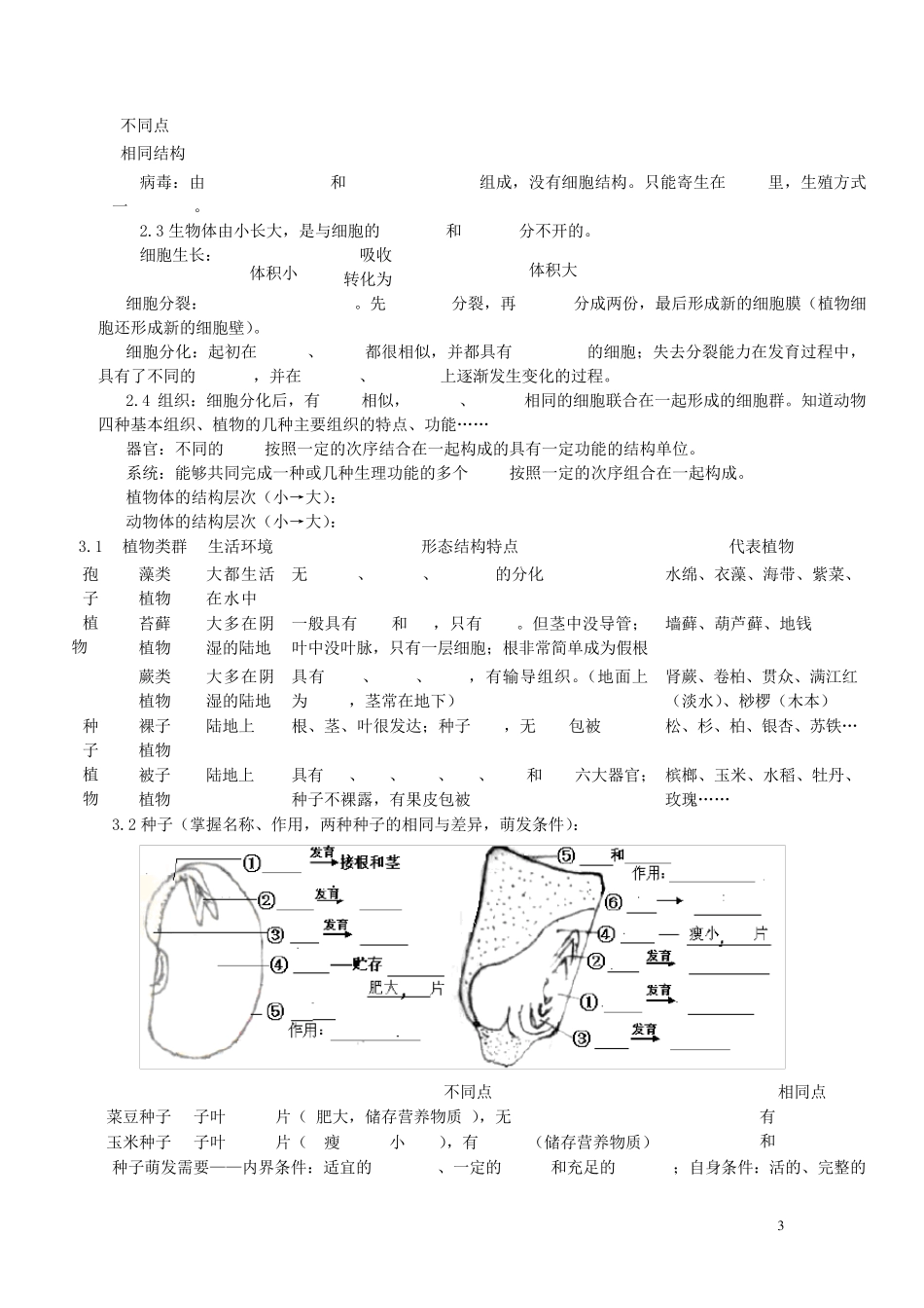 初中生物中考总复习_重要知识点(图、表等)_人教版_第3页