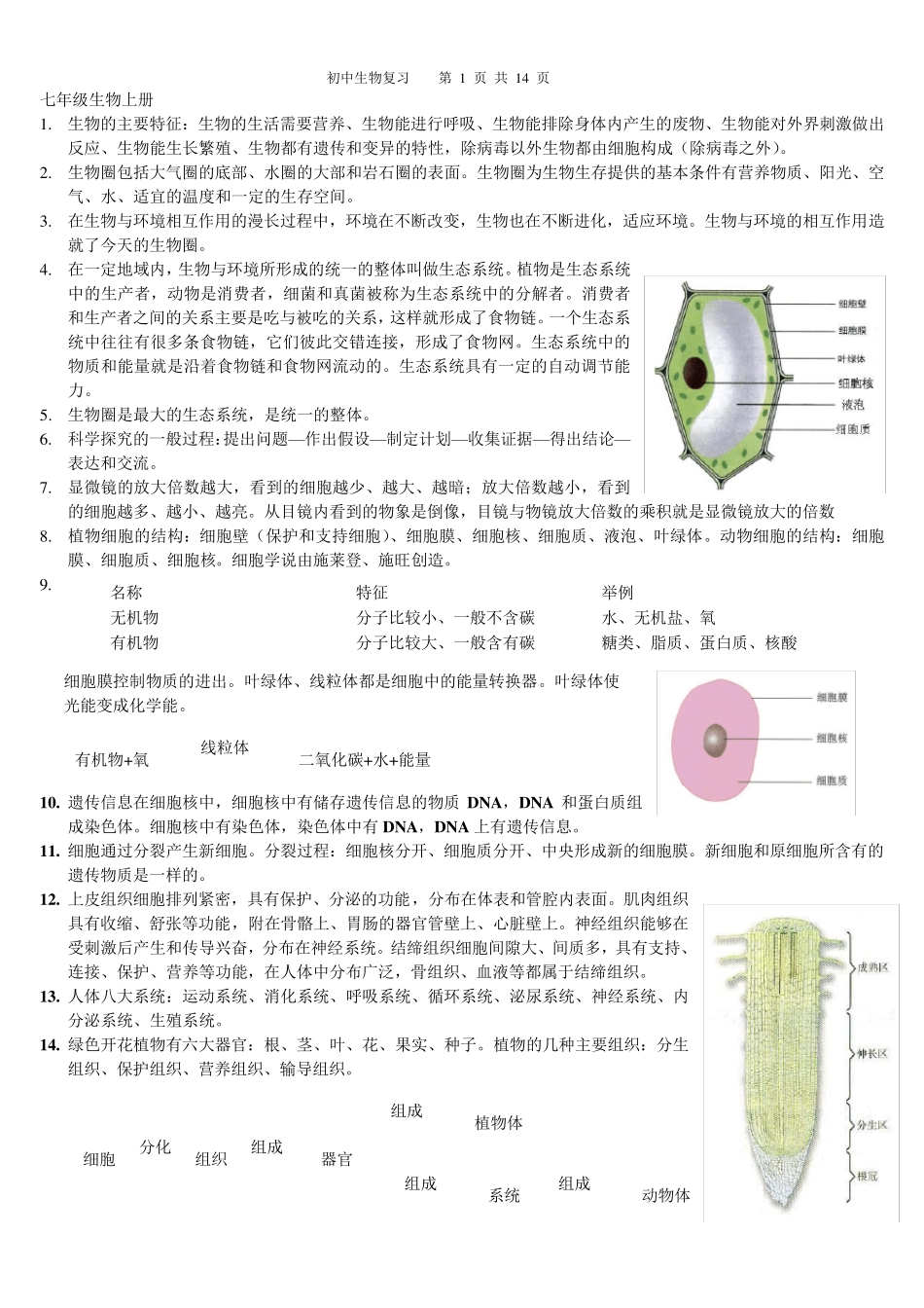 初中生物全册总复习资料_第1页