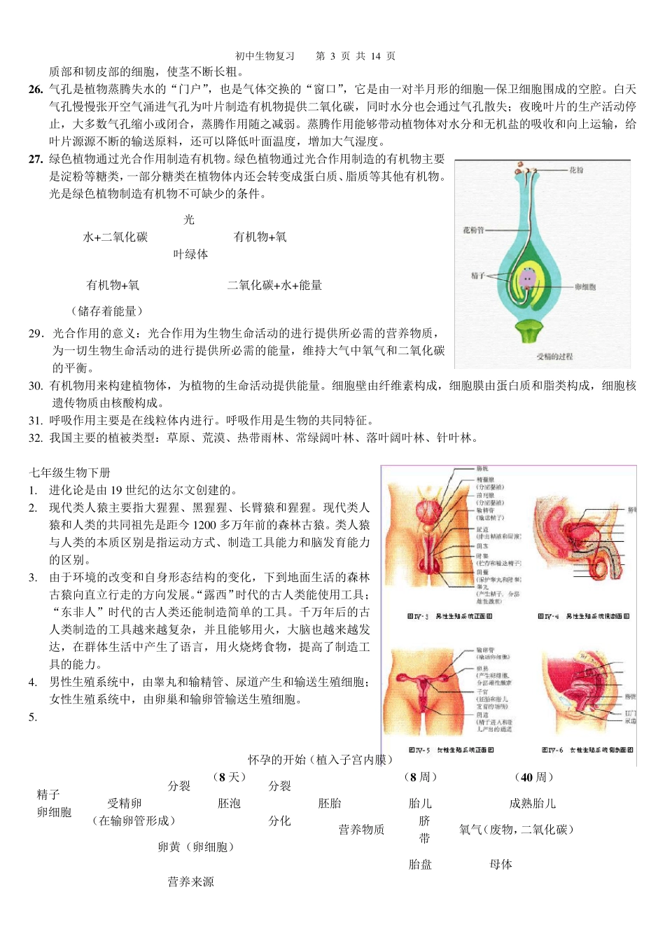 初中生物全册总复习资料_第3页