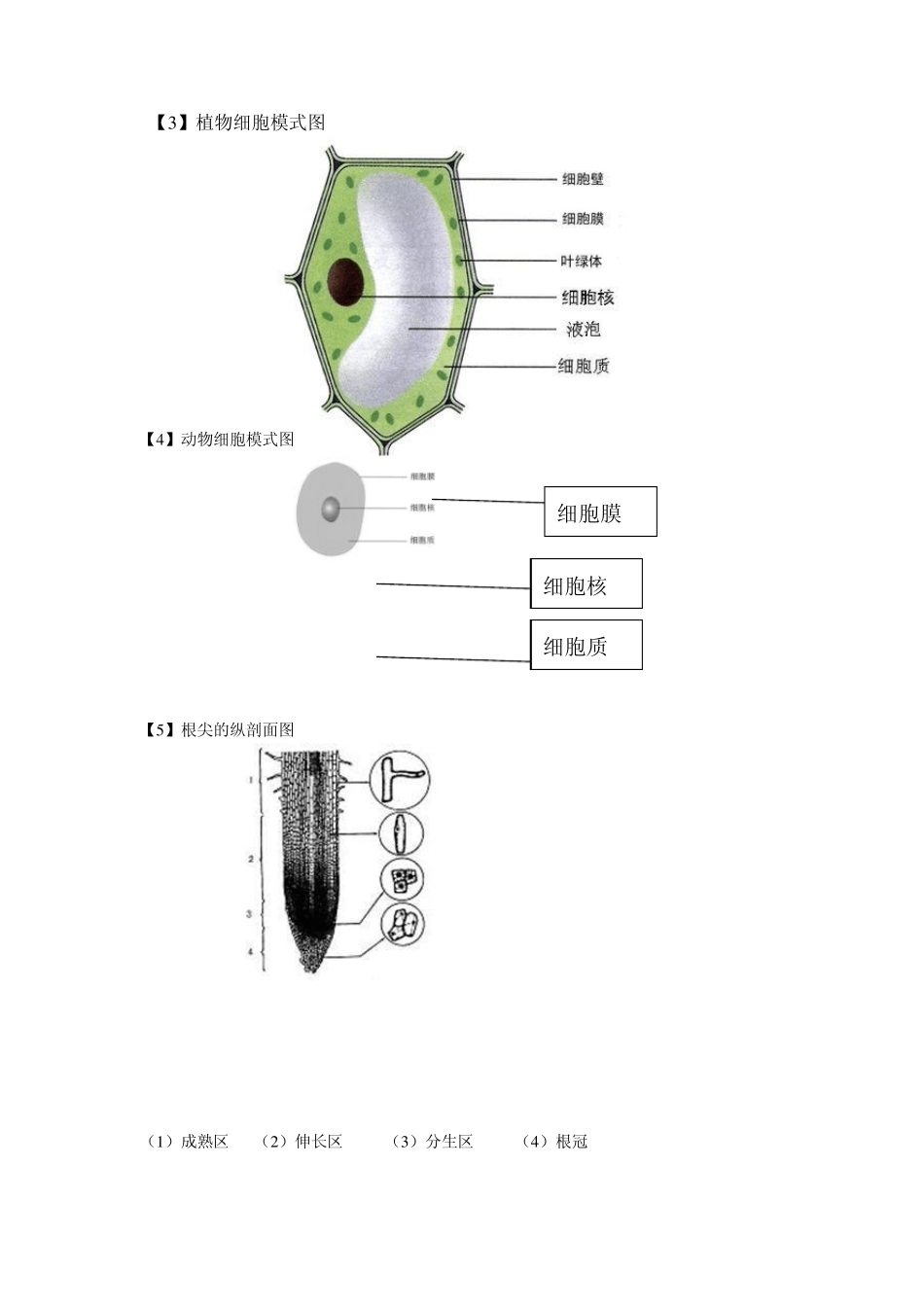 初中生物地理会考复习图_第2页