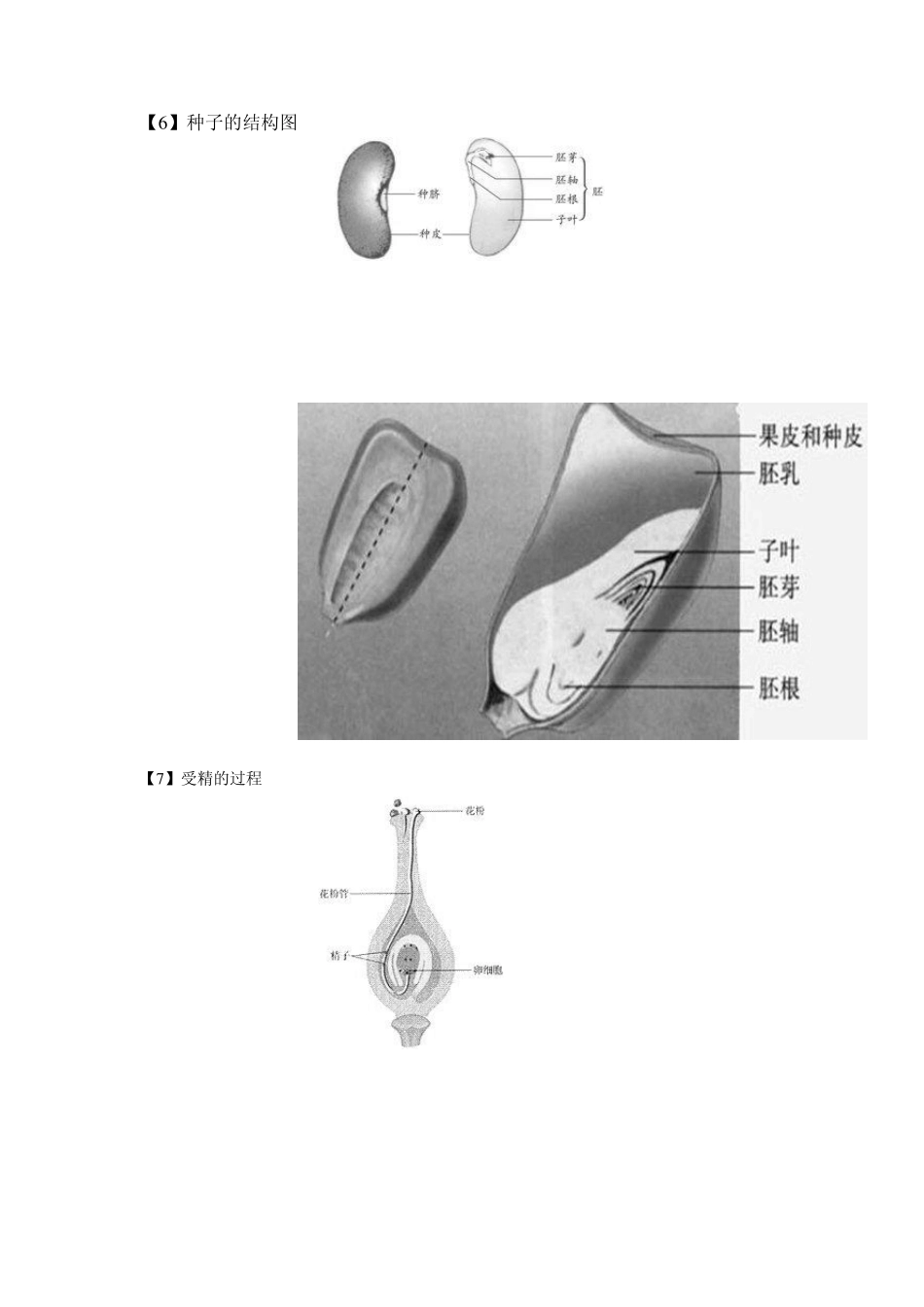 初中生物地理会考复习图_第3页