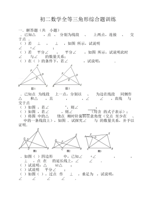 初二数学全等三角形综合题训练