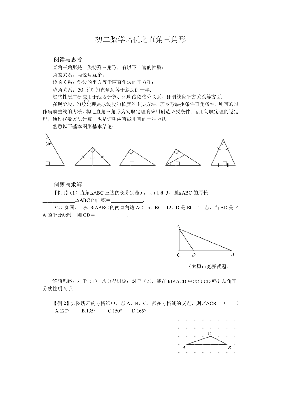 初二数学培优之直角三角形_第1页