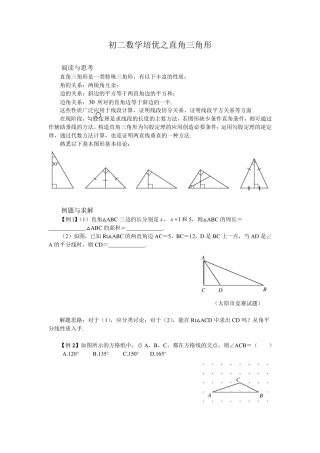 初二数学培优之直角三角形
