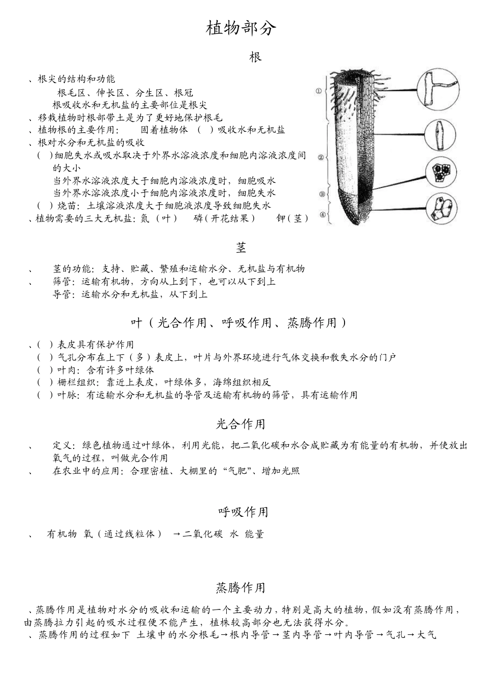 初二生物小中考_第1页