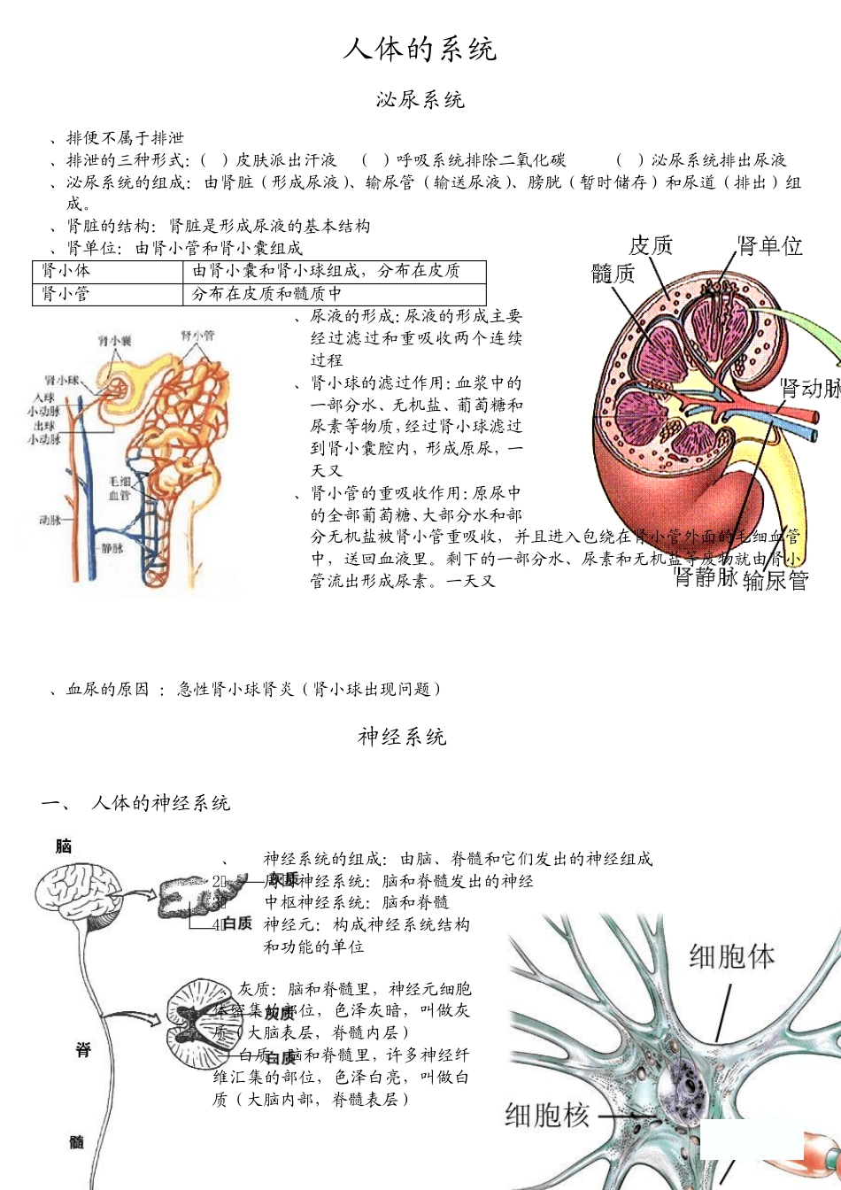 初二生物小中考_第3页