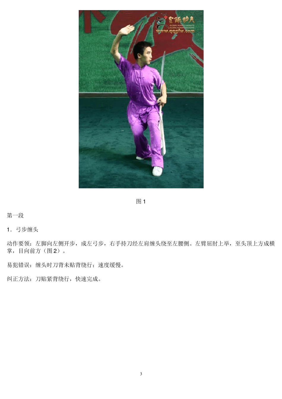 初级刀术_图解_真人图示版_第3页