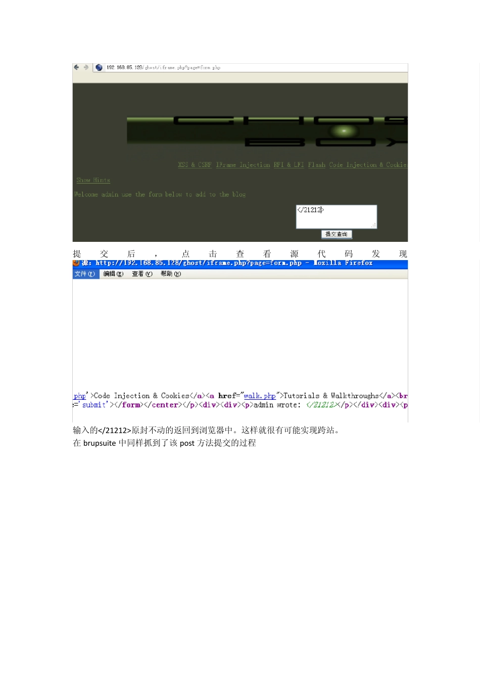 利用burpsuite手工挖掘XSS漏洞_第3页