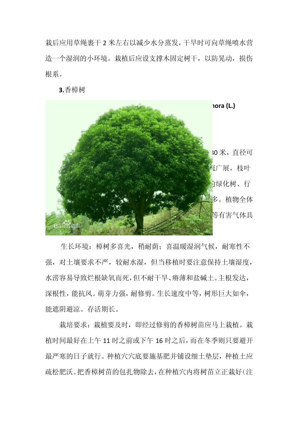 别墅庭院绿化植物选择与养护要点_第3页