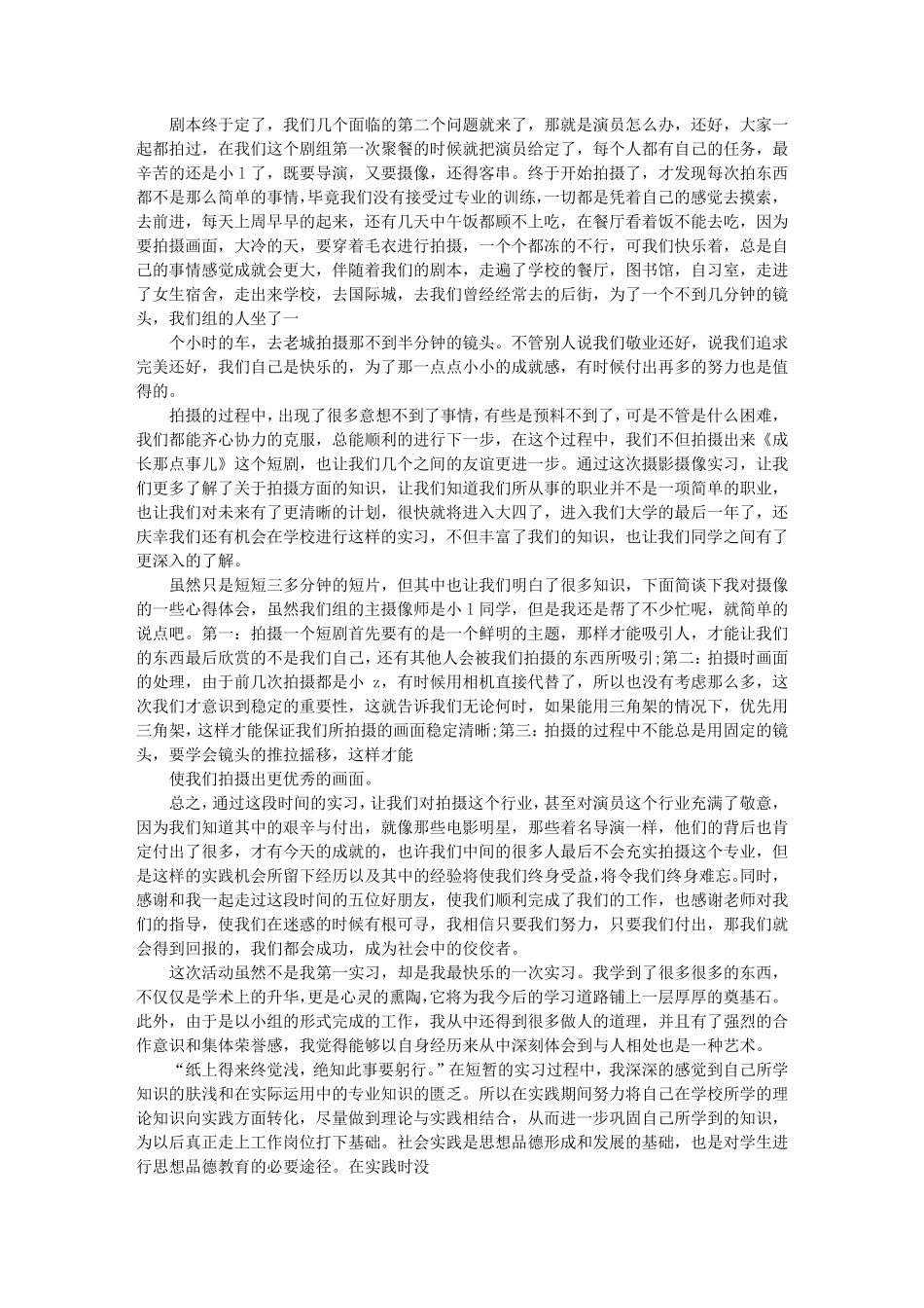 剧组实习报告_第3页