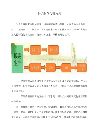 剩菜剩饭处理方案