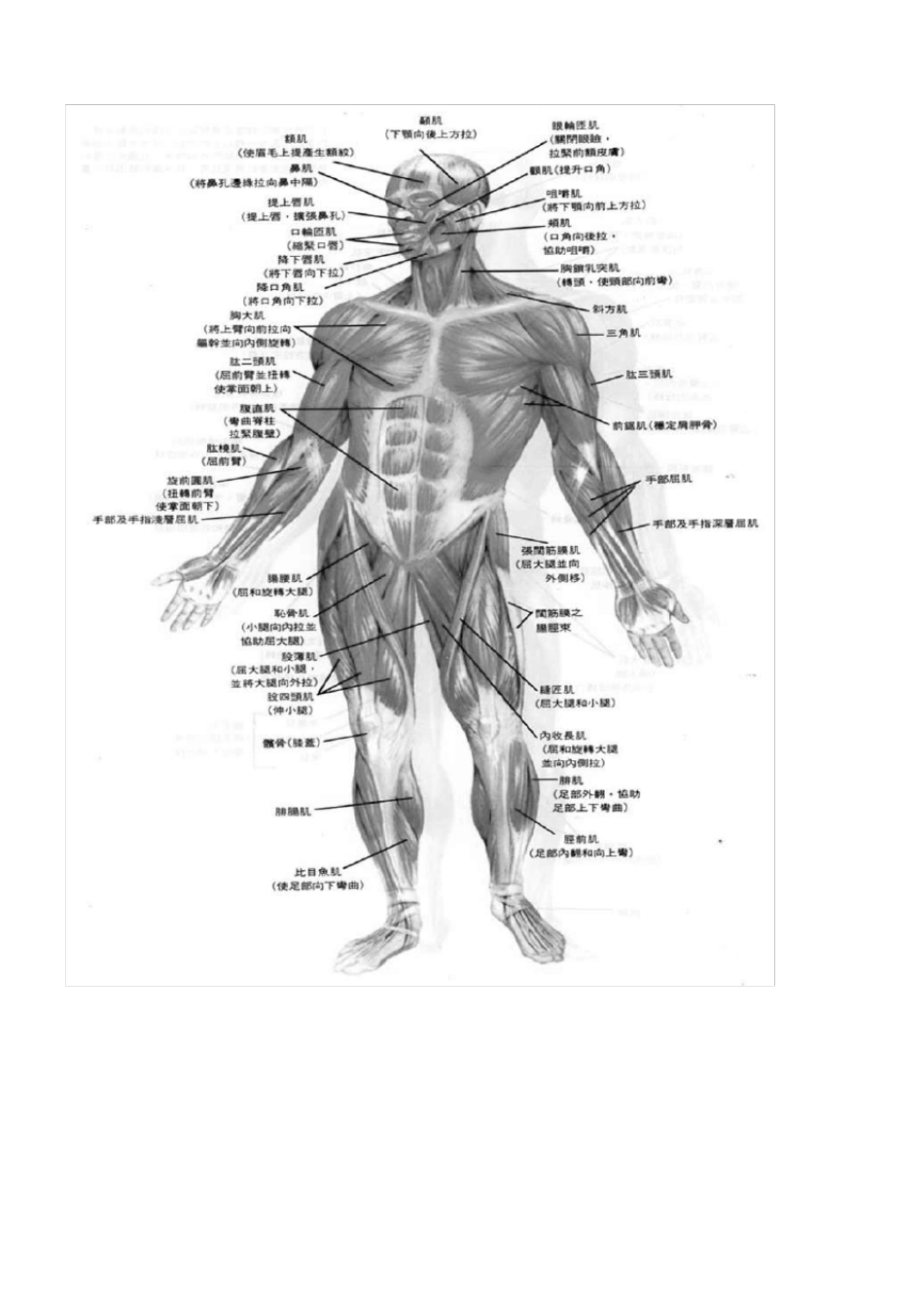 力量训练原理及方法_第2页