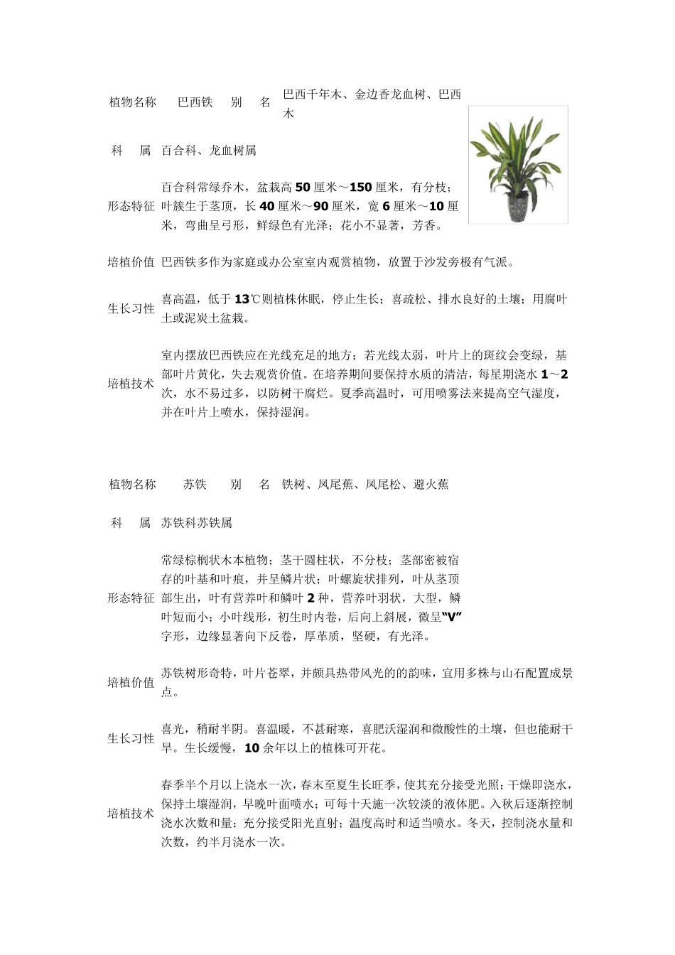 办公区常见绿化植物50种(含图、培植价值及栽培特性)_第2页