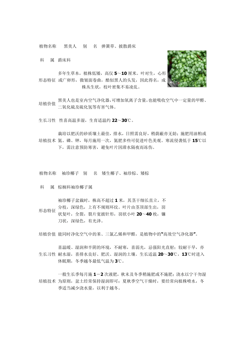 办公区常见绿化植物50种(含图、培植价值及栽培特性)_第3页