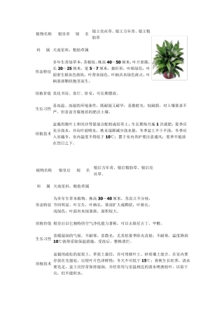 办公区常见绿化植物50种(含图、培植价值及栽培特性)