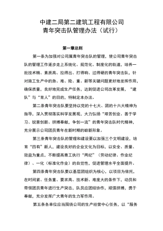 (完整版)中建二局二公司青年突击队管理制度