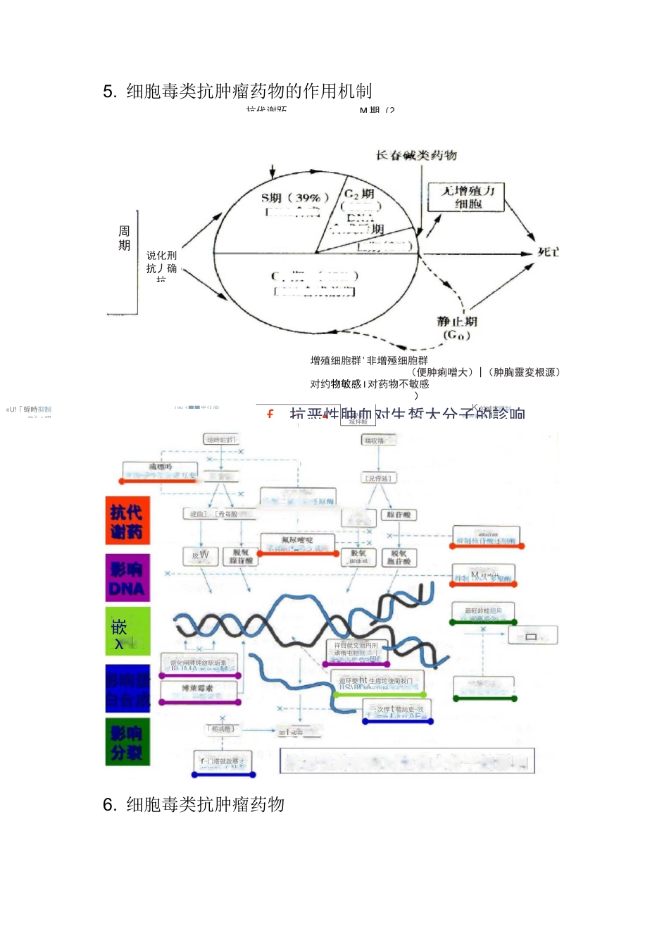 抗肿瘤药物知识_第2页