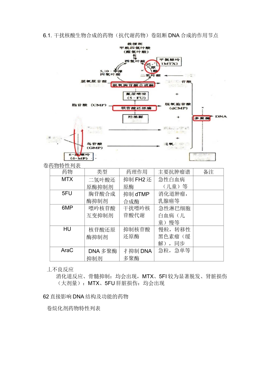 抗肿瘤药物知识_第3页