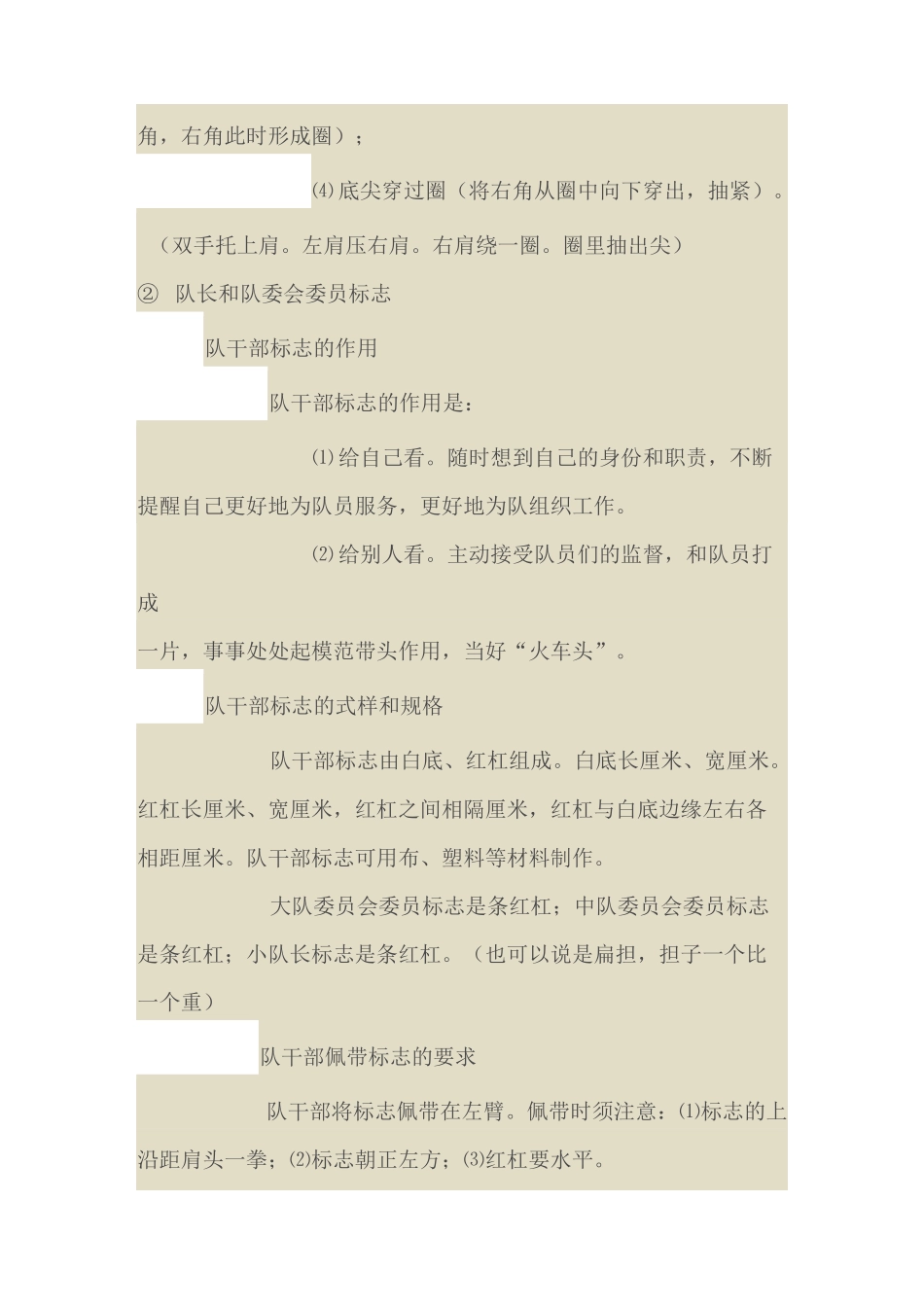 少先队活动的礼仪规范_第3页