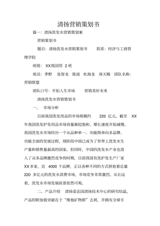 清扬营销策划书