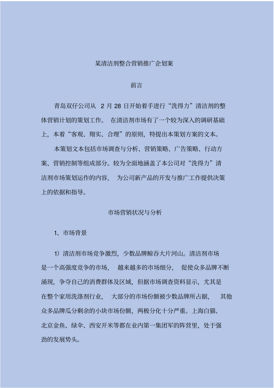 清洁剂整合营销推广企划案_第2页