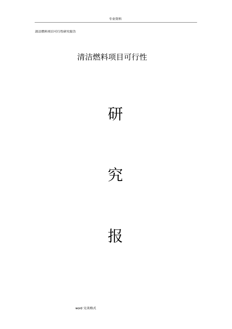 清洁燃料项目可行性实施计划书_第1页