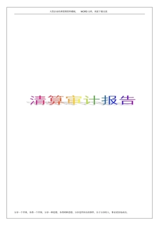 清算审计报告7p
