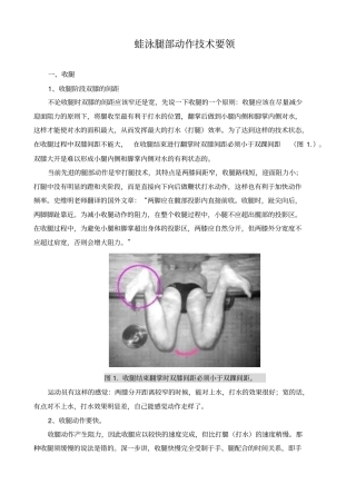 游泳-蛙泳腿部动作技术要领