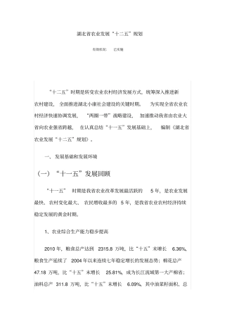 湖北农业发展十二五规划x