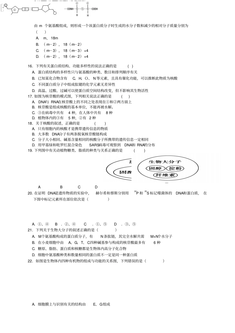湖北武汉武汉中学高一上学期期中考试生物试题_第3页