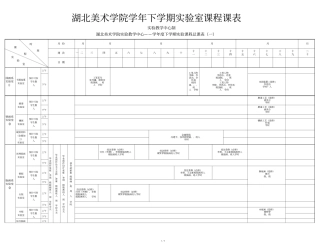 湖北美术学院学年下学期试验室课程课表