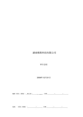 湖南某科技公司审计总结