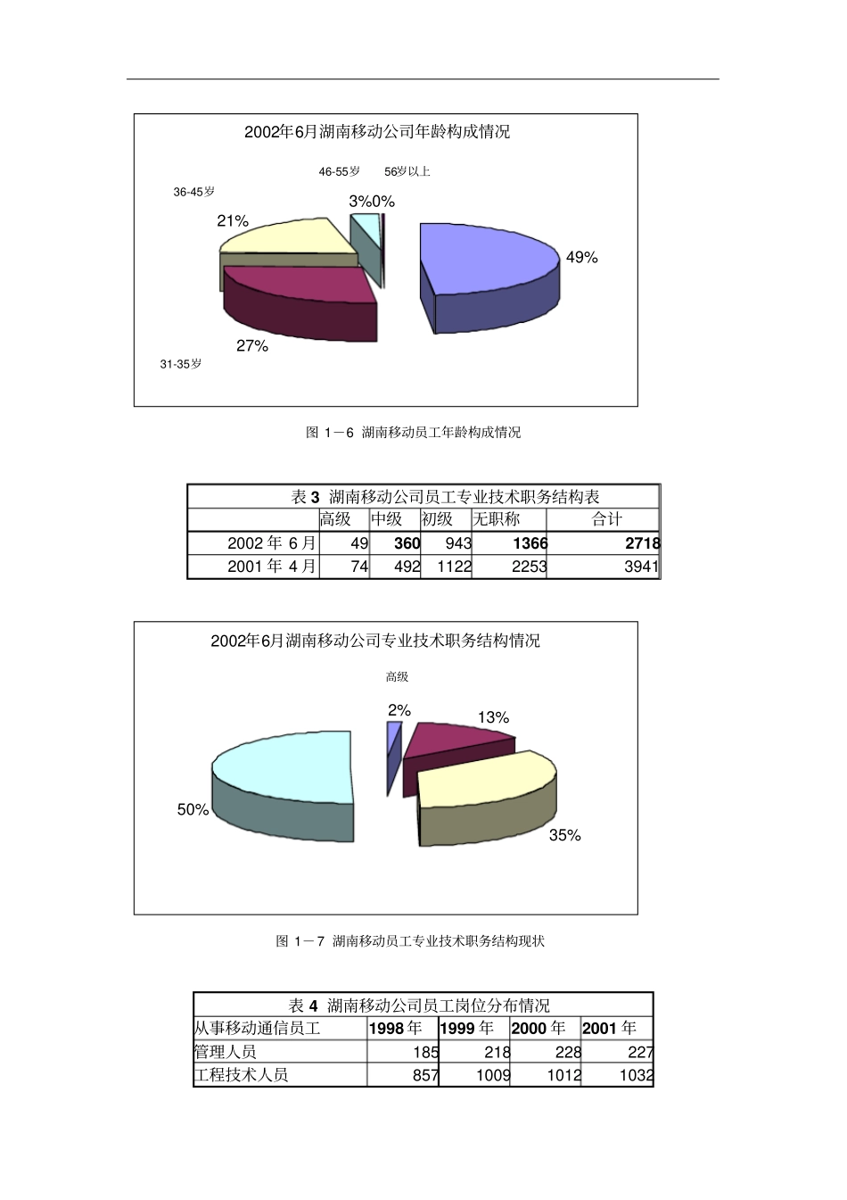 湖南移动通信公司人力资源现状与分析_第2页
