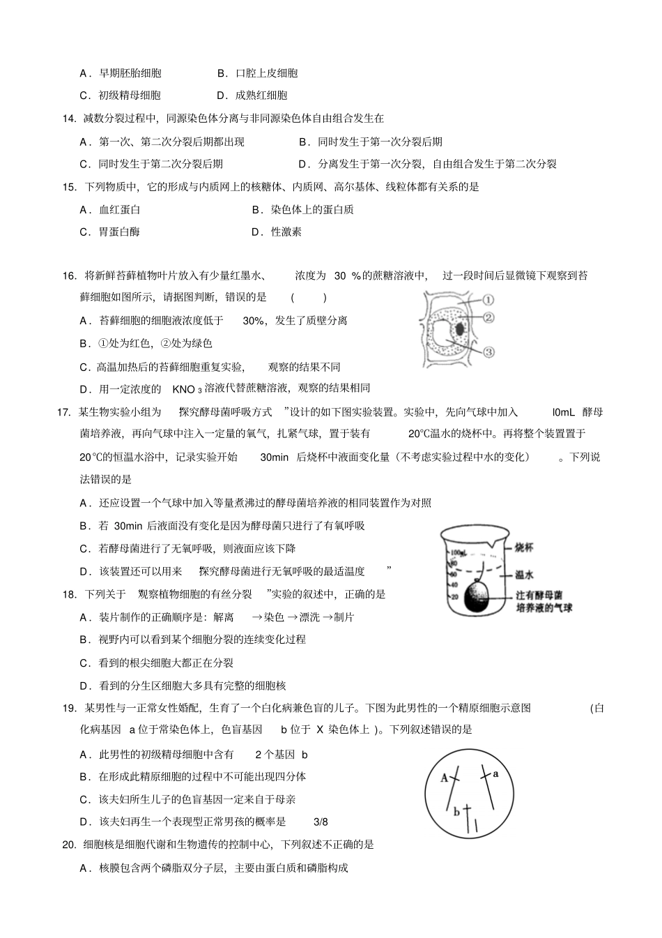 湖南衡阳高一下学期第四次月考生物试题_第3页