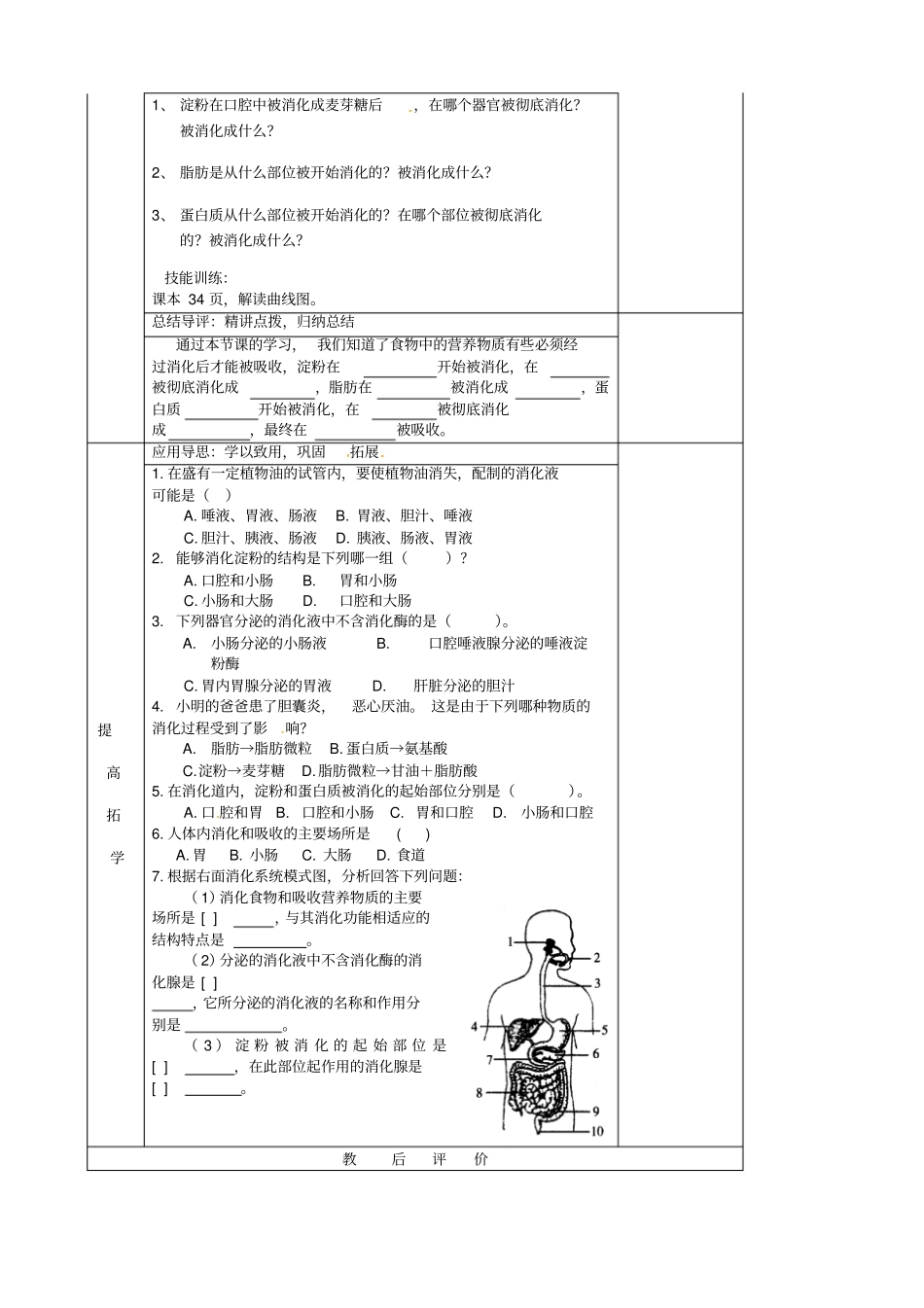 湖南邵东七年级生物下册22消化和吸收导学案无答案新版新人教版_第3页