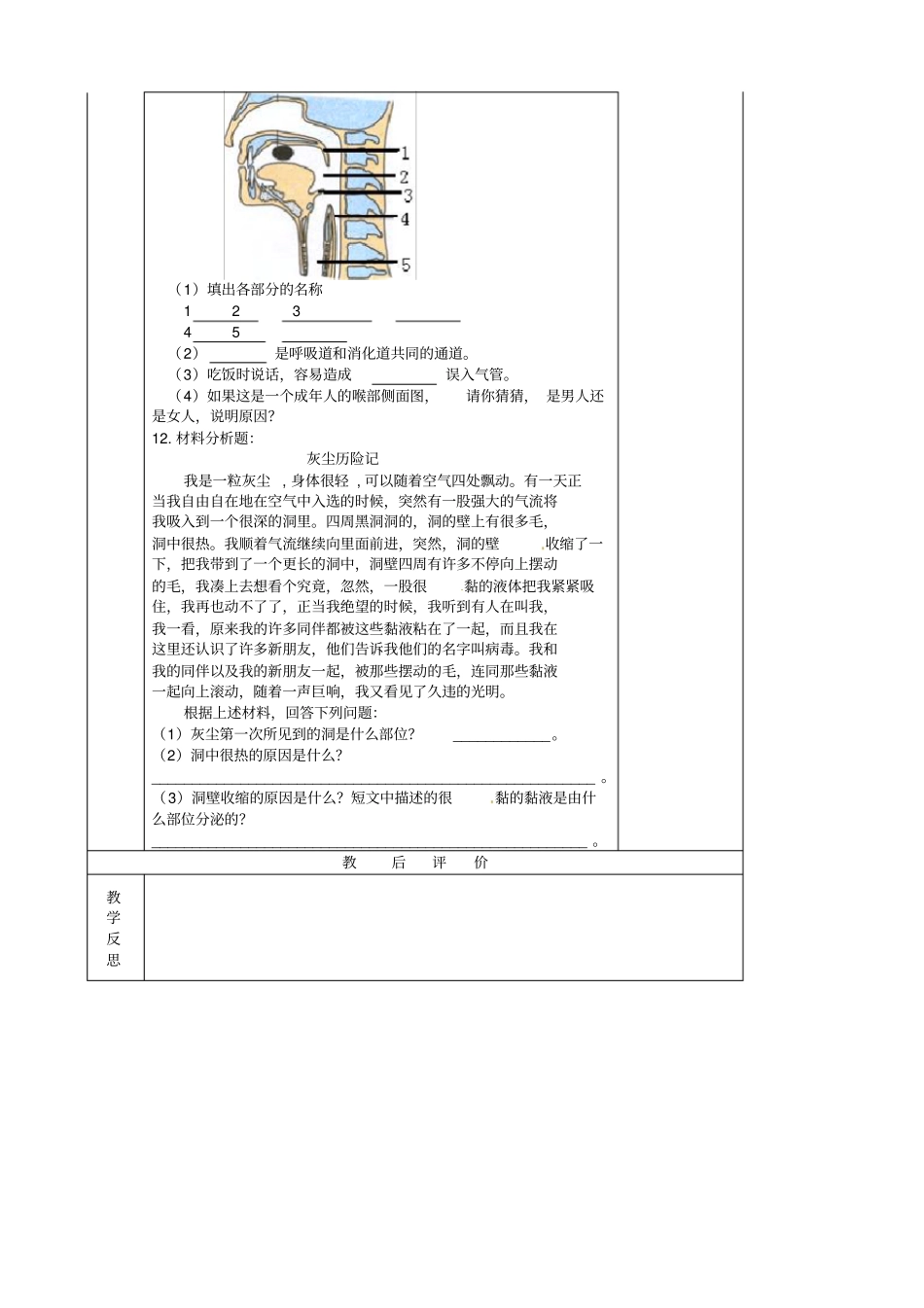 湖南邵东七年级生物下册31呼吸道对空气的处理导学案无答案新版新人教版_第3页