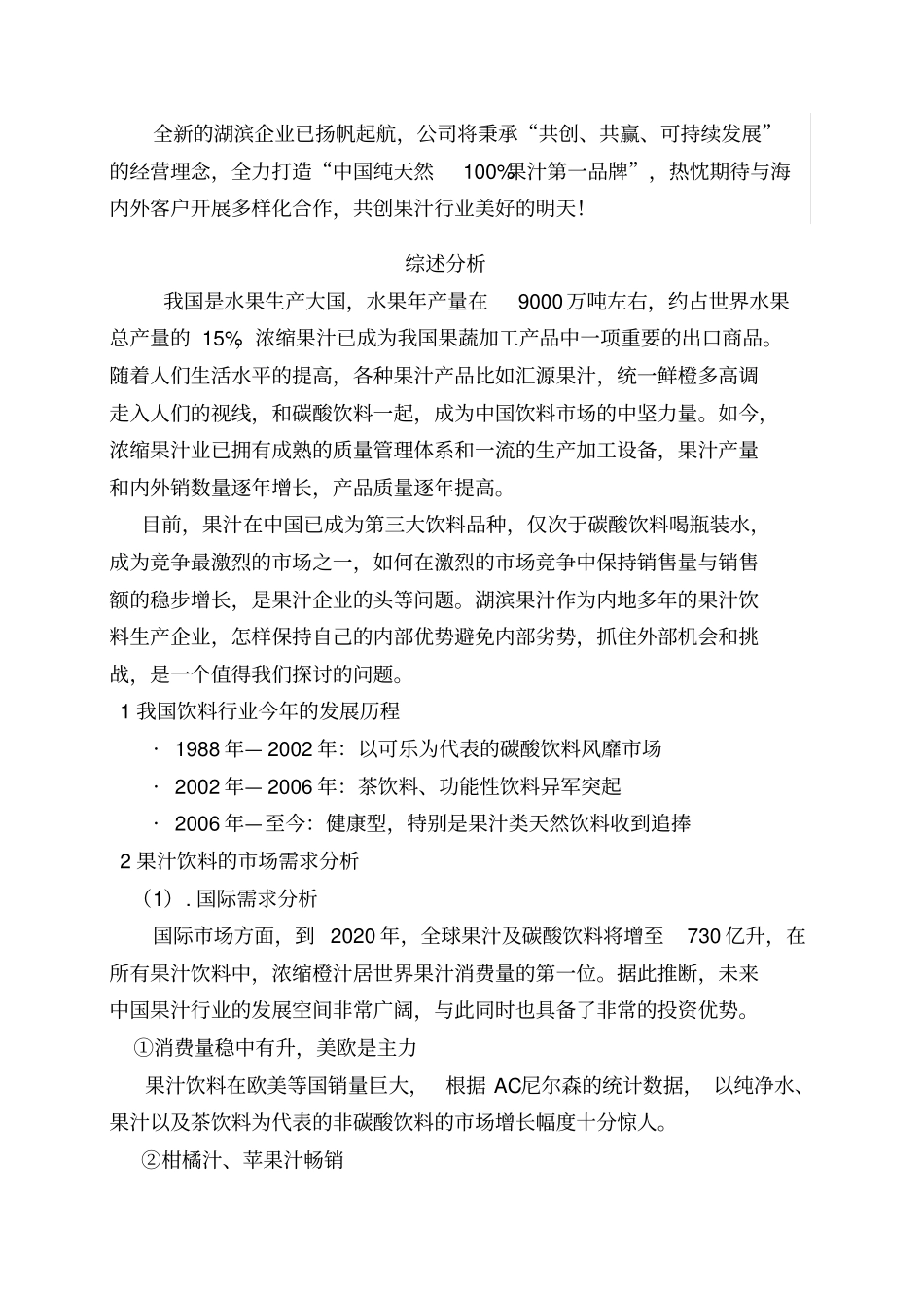 湖滨食品果汁品牌营销策划书4_第2页