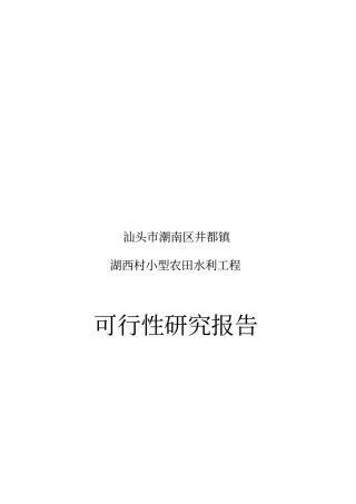 湖西村小型农田水利工程可行性研究报告书