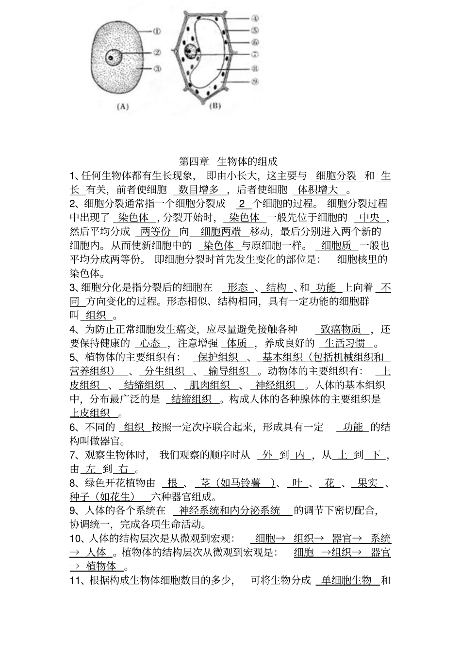 湘教版七年级上生物复习提纲汇总_第3页