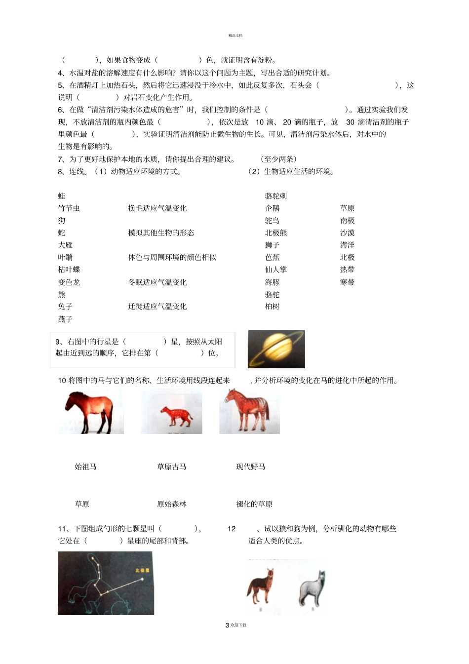 湘教版科学毕业总复习资料_第3页