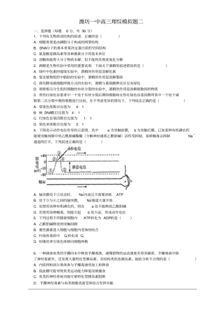 潍坊一中2016届高三1月份理综汇总