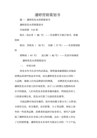 潘婷营销策划书