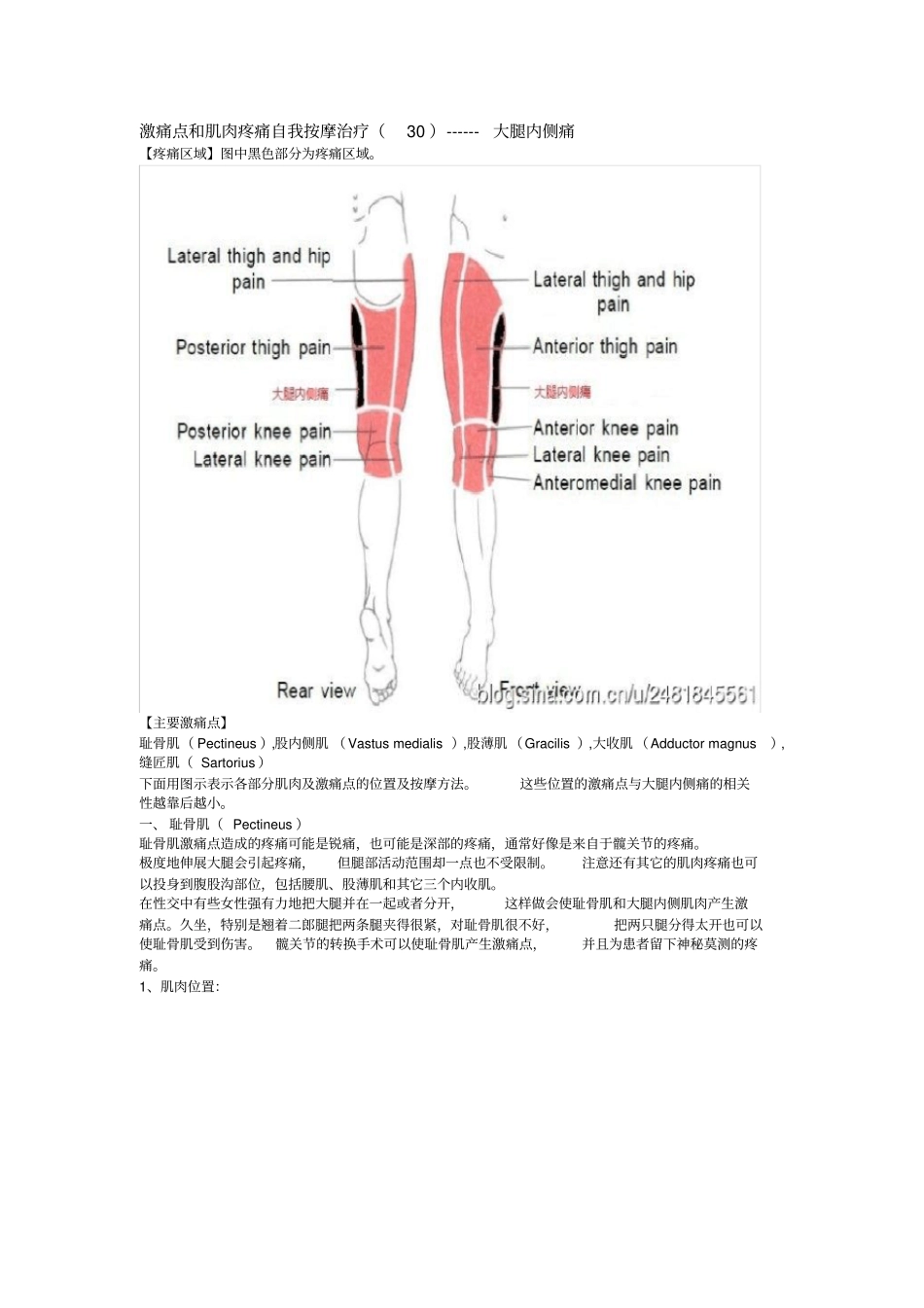 激痛点和肌肉疼痛自我按摩治疗大腿内侧痛_第1页