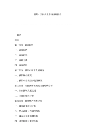 濮阳商业场调研报告