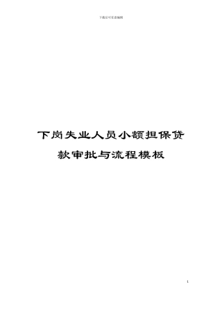 下岗失业人员小额担保贷款审批与流程模板