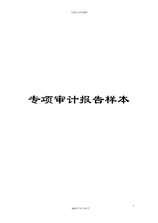 专项审计报告样本